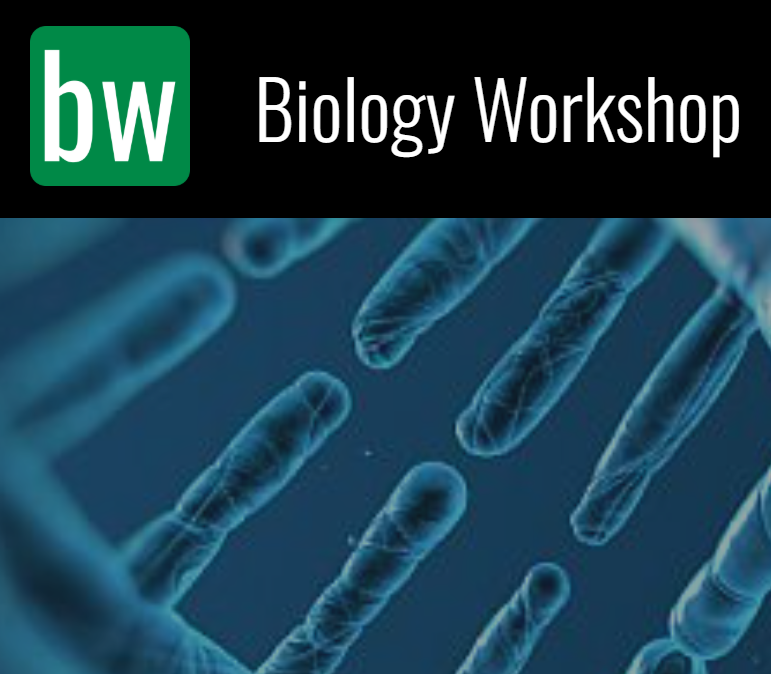 Biology Workshop